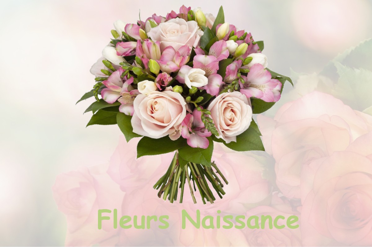 fleurs naissance MENESTREAU-EN-VILLETTE