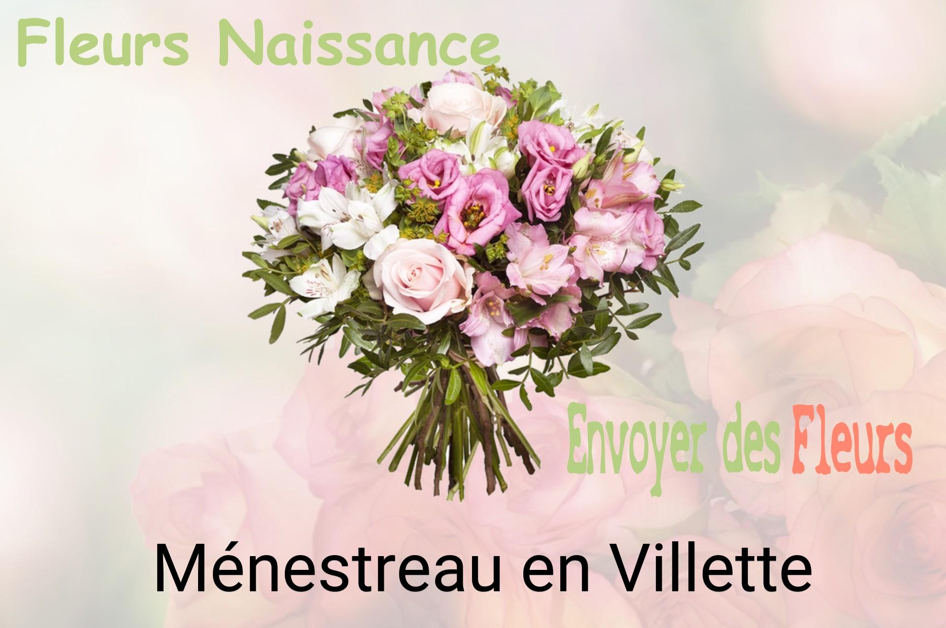 Bouquet de fleurs de naissance livré à Ménestreau-en-Villette