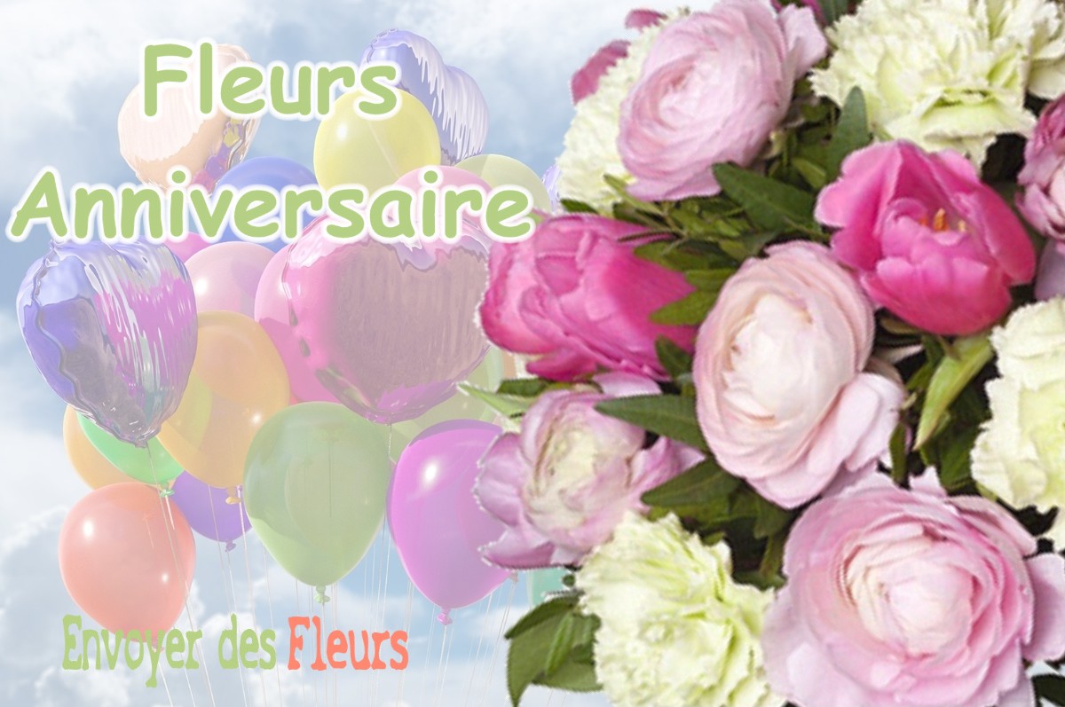 lIVRAISON FLEURS ANNIVERSAIRE à MENESTREAU-EN-VILLETTE