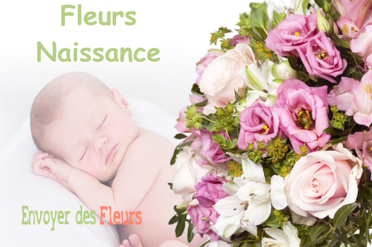 lIVRAISON FLEURS NAISSANCE à MENESTREAU-EN-VILLETTE