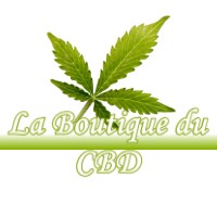 LA BOUTIQUE DU CBD MENESTREAU-EN-VILLETTE 